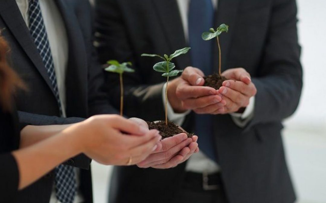 Los ciberriesgos y los riesgos ambientales